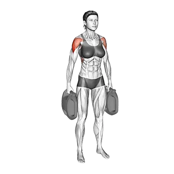 Bottle Weighted Lateral Raise
