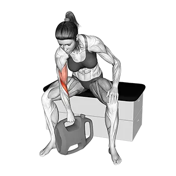 Bottle Weighted Reverse Grip Concentration Curl