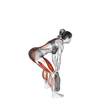 Bottle Weighted Romanian Deadlift