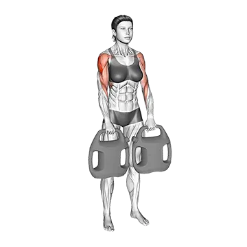 Bottle Weighted Upright Row