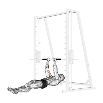 Brachialis Narrow Pull Ups