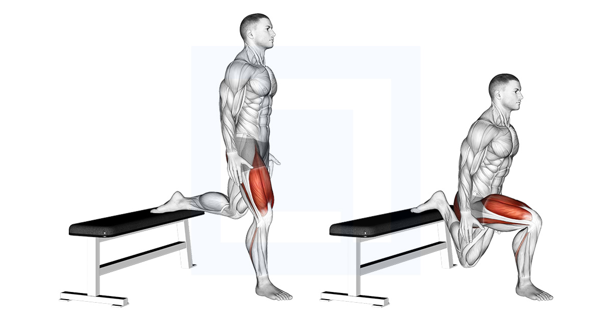 Bulgarian Split Squat Form For Glutes Ganalytic