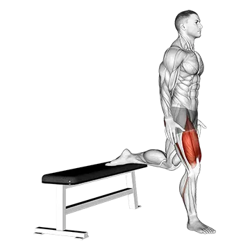 How To Do A Bulgarian Split Squat Bulgarian Split Squat
