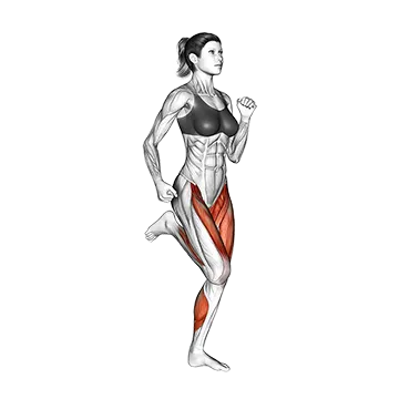Best Cardio Workouts For Weight Loss Butt Kicks