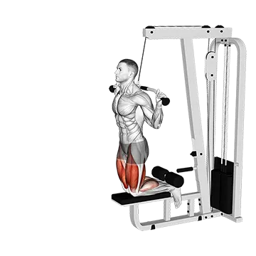 Best Cable Hamstring Workouts Cable Assisted Inverse Leg Curl