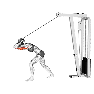 Cable Bar High Pulley Overhead Tricep Extension