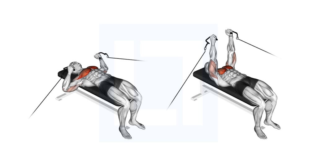Dynamic chest stretch guide benefits and form