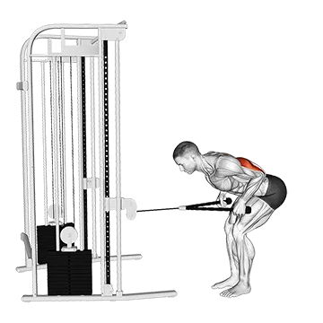 Cable Bent Over Neutral Grip Kickback With Rope Attachment