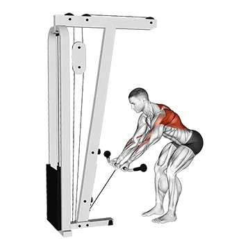 Cable Bent Over Reverse Grip Row
