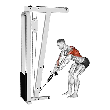 Cable Bent Over Row With Rope Attachment