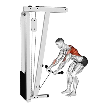 Best Cable Lat Workouts Cable Bent Over Row