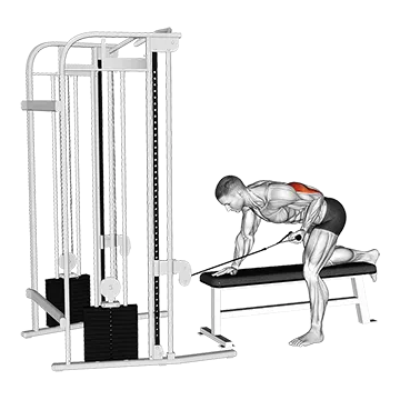 Best Cable Tricep Workouts Cable Bent Over Single Arm Kickback