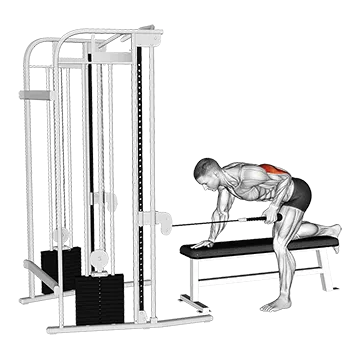 Cable Bent Over Single Arm Neutral Grip Kickback With Rope Attachment