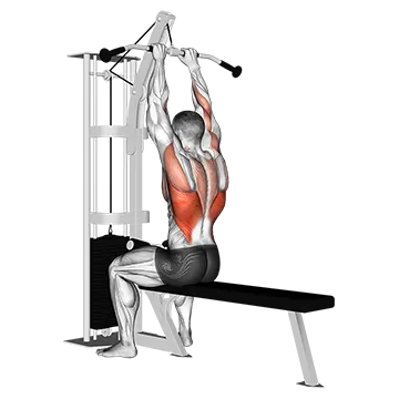 How To Build A Bigger Back Cable Close Grip Front Lat Pulldown