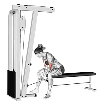 Best Cable Bicep Workouts Cable Concentration Curl