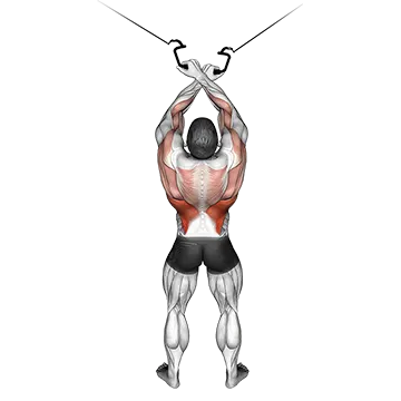 Best Lat Pulldown Variations Cable Cross Over Lateral Pulldown