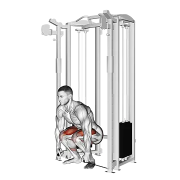 Best Cable Hamstring Workouts Cable Deadlift