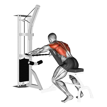 Cable Decline Seated Wide Grip Row