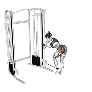 Best Cable Glute Workouts Cable Donkey Kickback