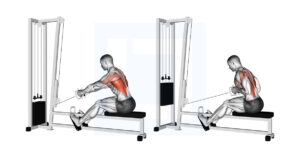 Cable Elevated Row: High Angle Cable Row