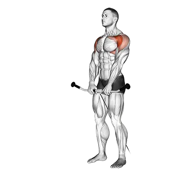 Best Cable Shoulder Workouts Cable Front Raise