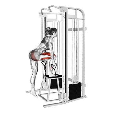 Cable Glute Dominant Step Up