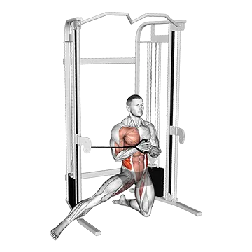 Cable Half Kneeling Adductor Pallof Press