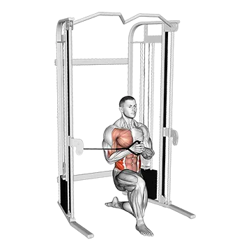 Best Cable Core Workouts Cable Half Kneeling Pallof Press