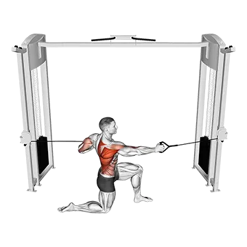 Cable Half Kneeling Push Pull