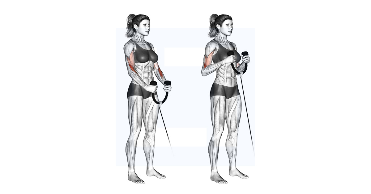 Dumbbell Cross Body Hammer Curl Guide Benefits And Form Dumbbell Cross Body Hammer Curl Guide Benefits And Form