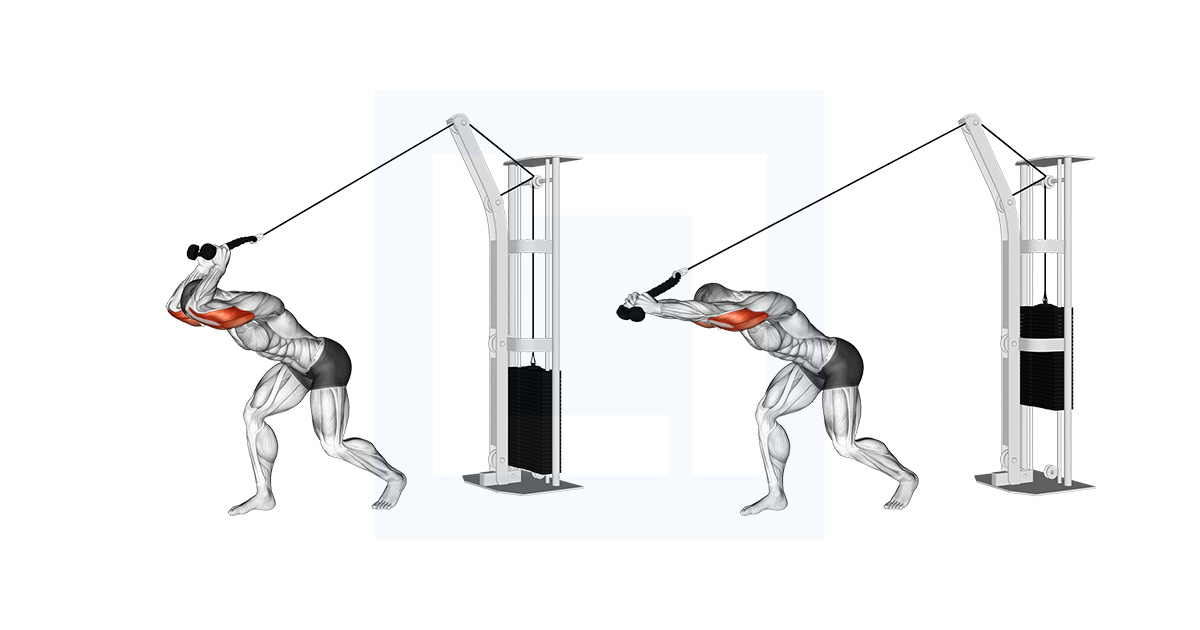 Cable Overhead Tricep Extension