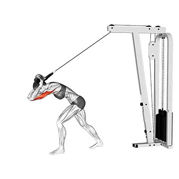 Best Cable Tricep Workouts Cable High Pulley Overhead Tricep Extension