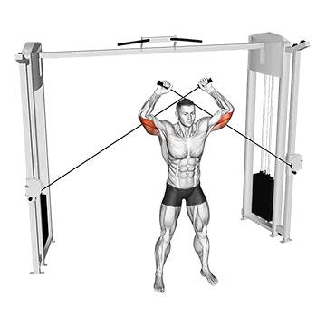 Cable High Triceps Extension