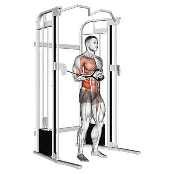 Best Cable Oblique Workouts Cable Horizontal Pallof Press