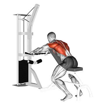 Cable Incline Bench Row