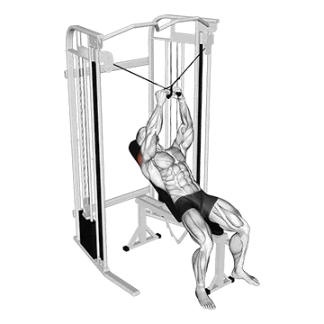 Cable Incline Cross Rear Fly