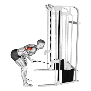 Best Cable Tricep Workouts Cable Kickback