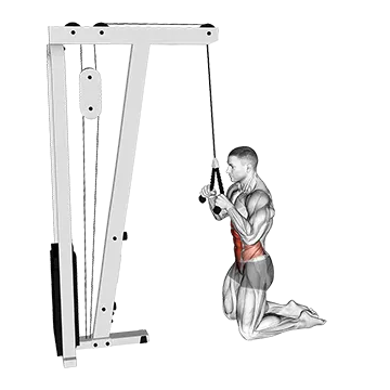 Best 15 Min Ab Workouts Cable Kneeling Crunch