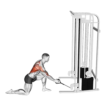 Cable Kneeling Leaning Forward One Arm Row