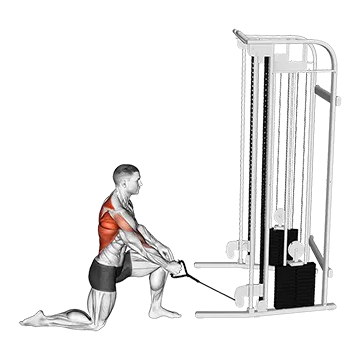 Cable Kneeling One Arm Row
