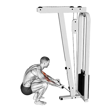 Cable Kneeling Preacher Curl