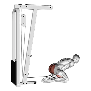 Best Cable Hamstring Workouts Cable Kneeling Pull Through