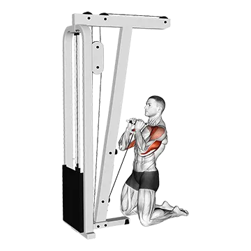 Cable Kneeling Shoulder Press