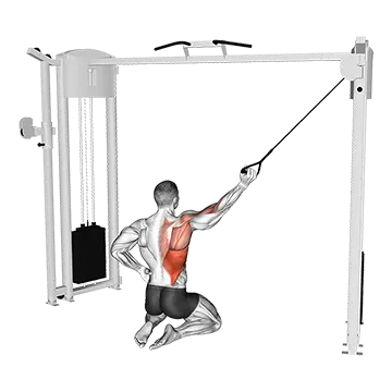 Cable Kneeling Single Lat Pulldown