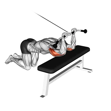 Best Cable Tricep Workouts Cable Kneeling Triceps Extension