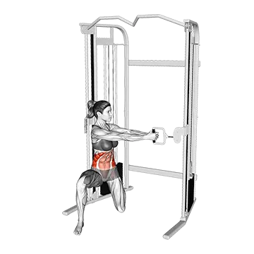 Cable Kneeling Twist