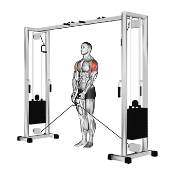 Best Side Delt Exercises Cable Lateral Raise