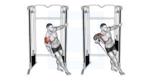 Cable Lateral Raise - Guide, Benefits, and Form