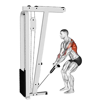 Cable Low Row With Rope Attachment