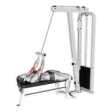 Cable Lying Close Grip Curl